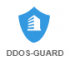 Ddos-guard.net
